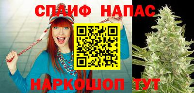 spice Пугачёв