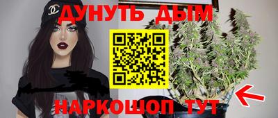 гидра Пенза
