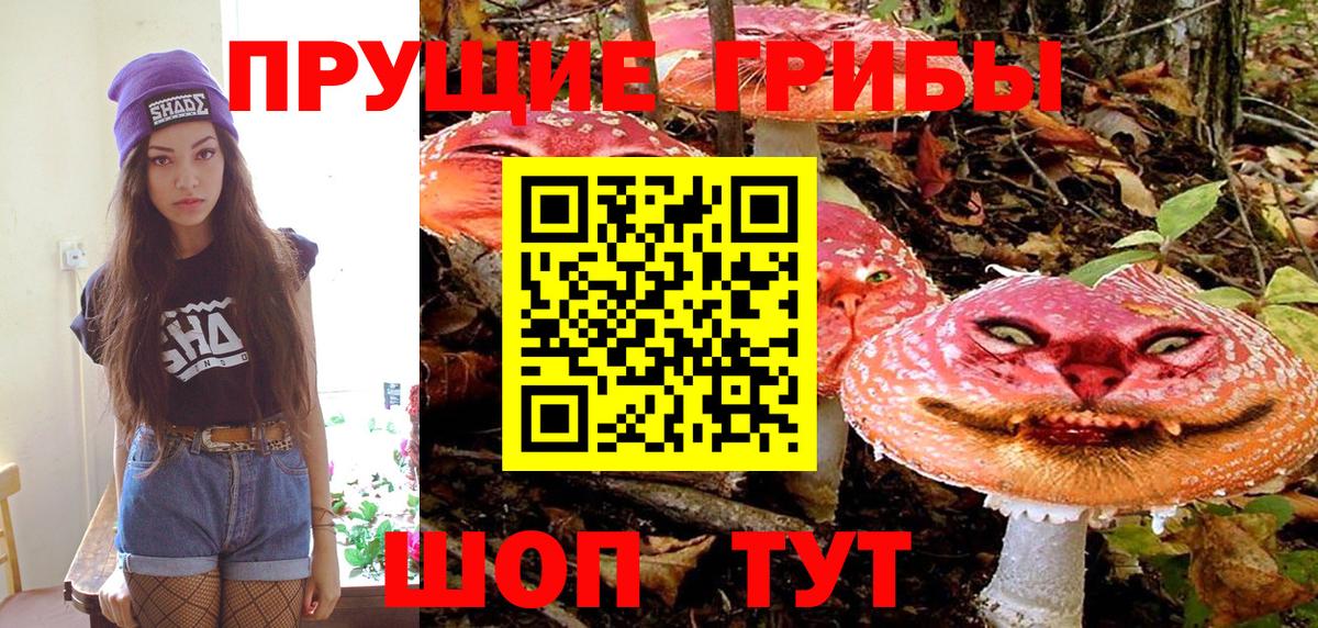 Галлюциногенные грибы Magic Shrooms Сибай